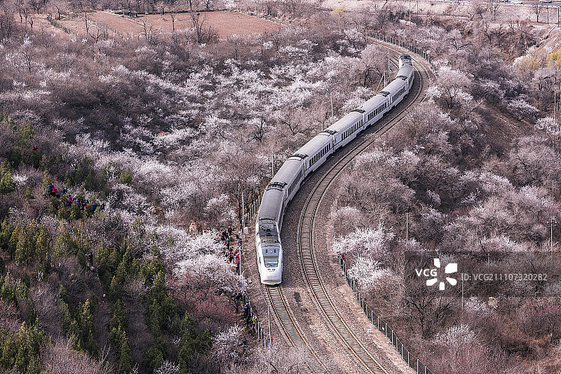 开往春天的火车图片素材