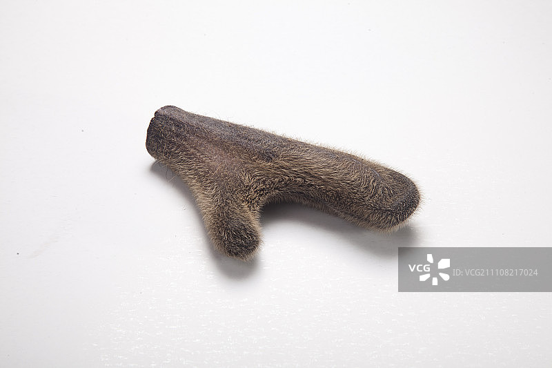 中医 中药养生图片素材