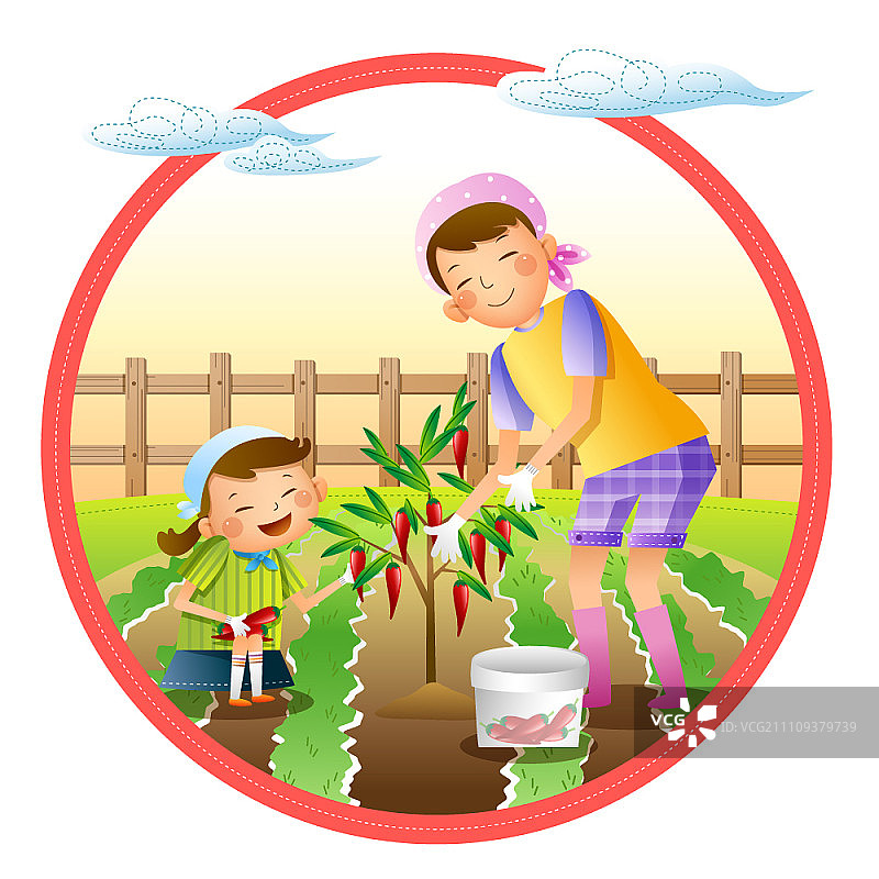 母亲和小女孩收获辣椒图片素材