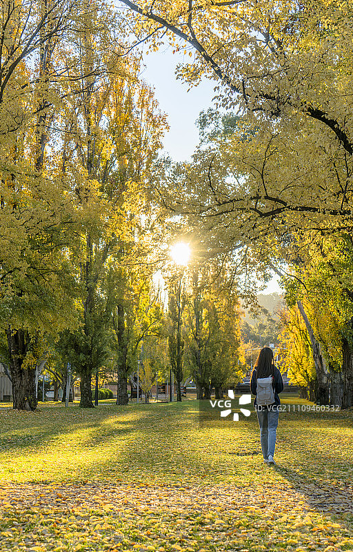 背包女孩在金秋图片素材