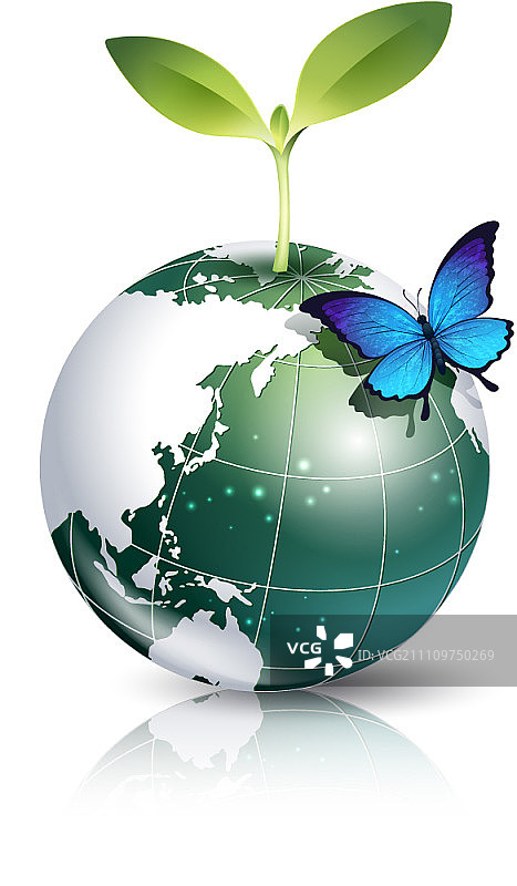 地球仪上的蝴蝶与幼苗图片素材
