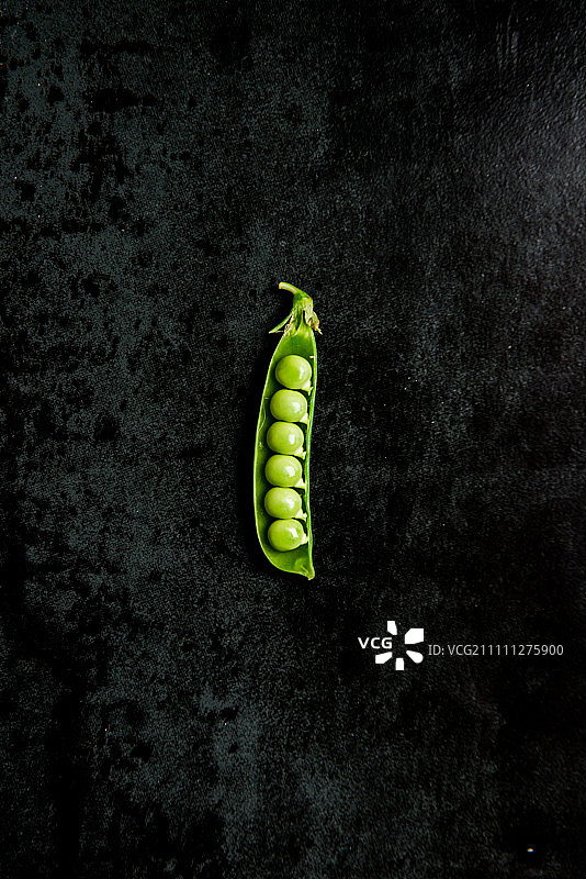 豌豆图片素材