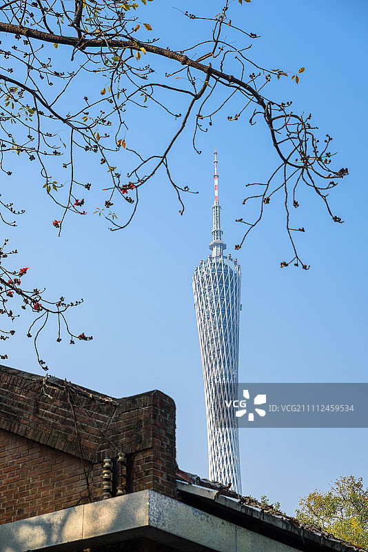广州塔图片素材