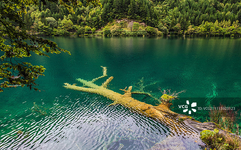 九寨沟-镜海图片素材