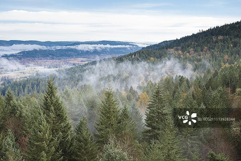 从悬崖顶看到的俄勒冈州斯普林菲尔德瑟斯顿山自然保护区图片素材
