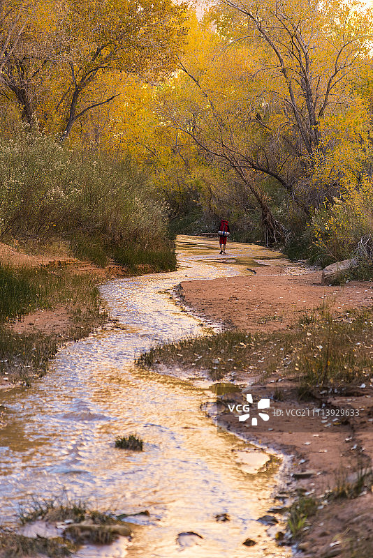 秋季在郊狼峡谷徒步的男子图片素材