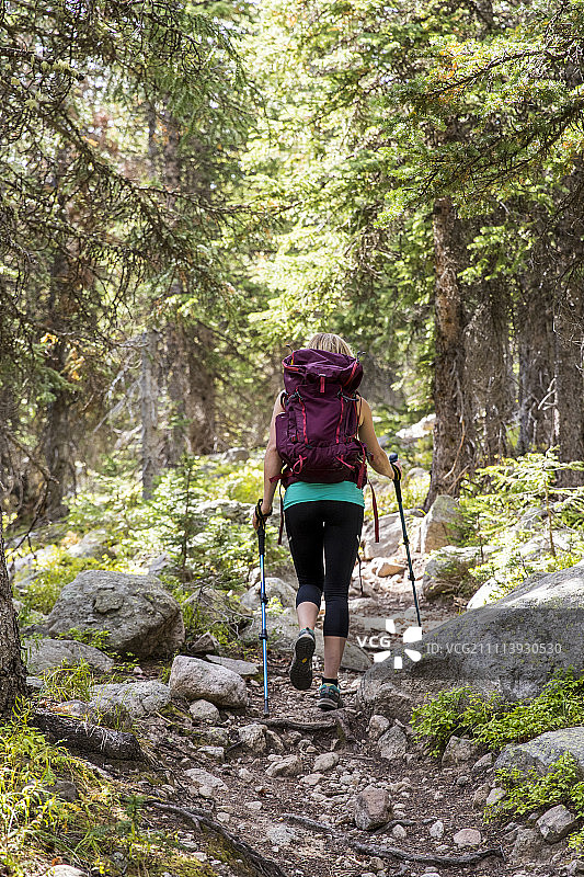 在科罗拉多州落基山国家公园的森林小径上徒步的女子图片素材