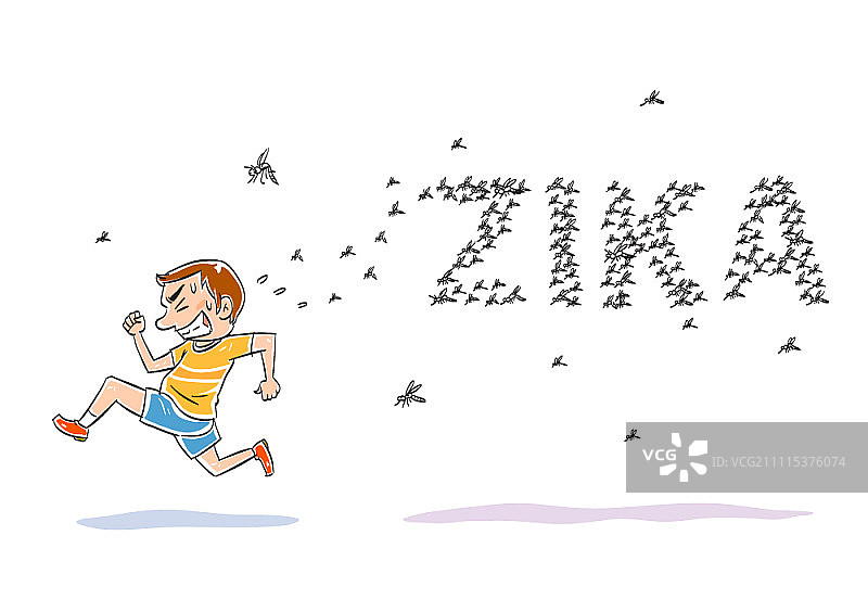 蚊子以寨卡病毒的形状飞着追赶人图片素材