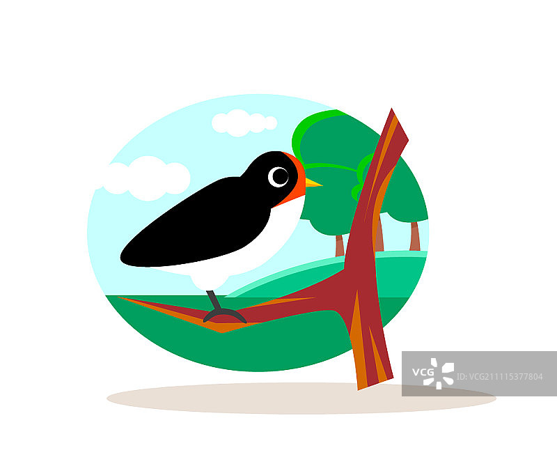 树枝上的家燕图片素材