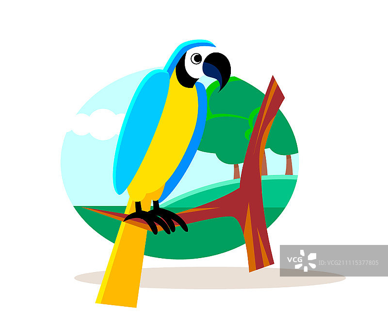 树枝上的鹦鹉图片素材