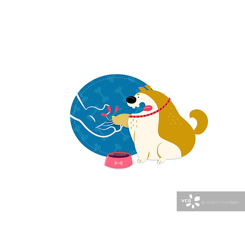 狗狗接受训练图片素材