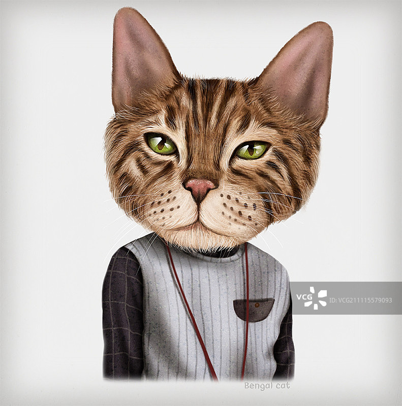 猫的肖像图片素材