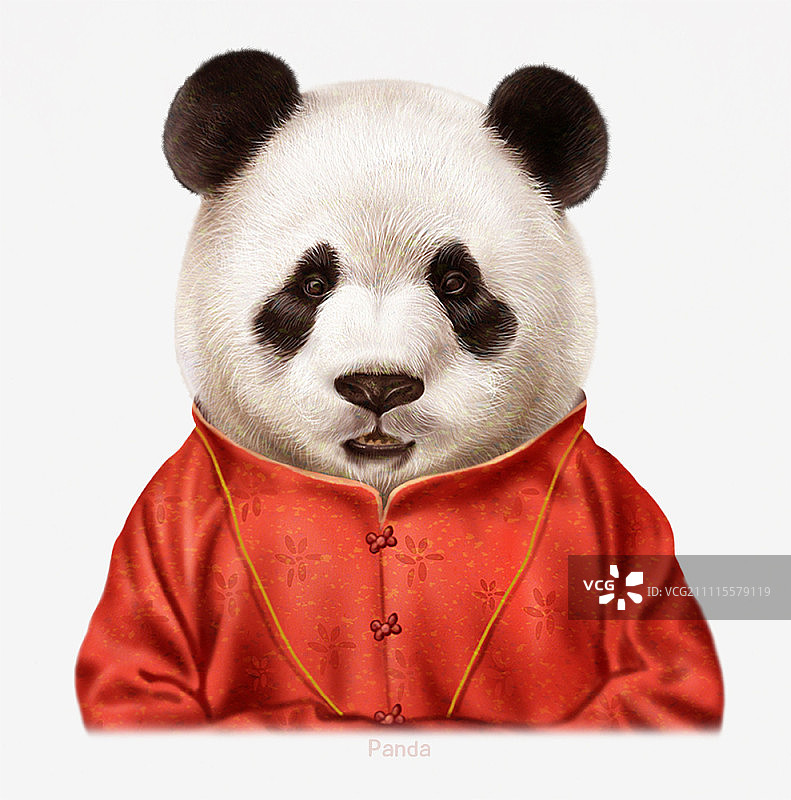 熊猫肖像图片素材