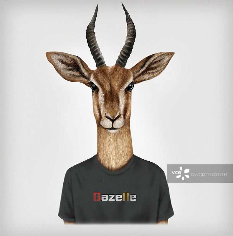 瞪羚画像图片素材