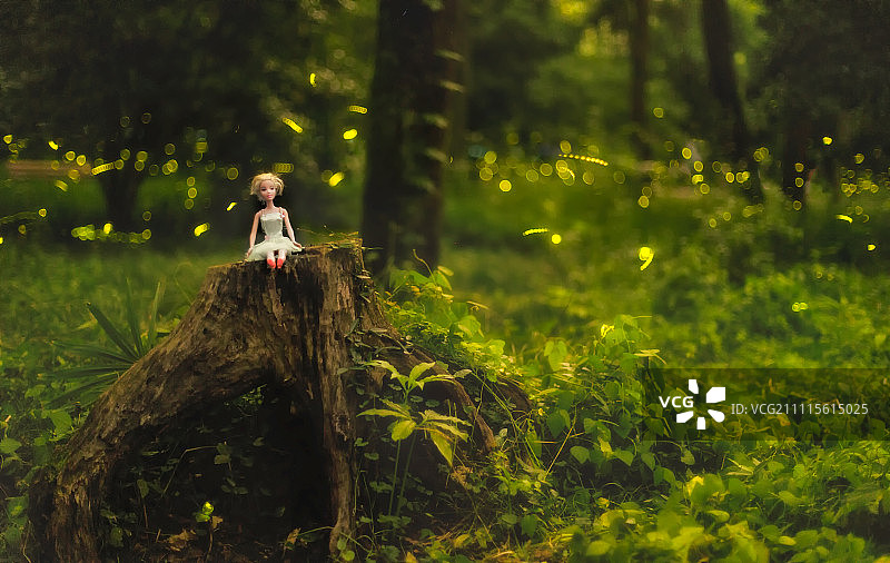 芭比萤火图片素材