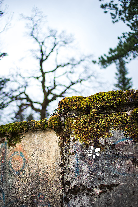 黑山采蒂涅街头的斑驳墙壁图片素材