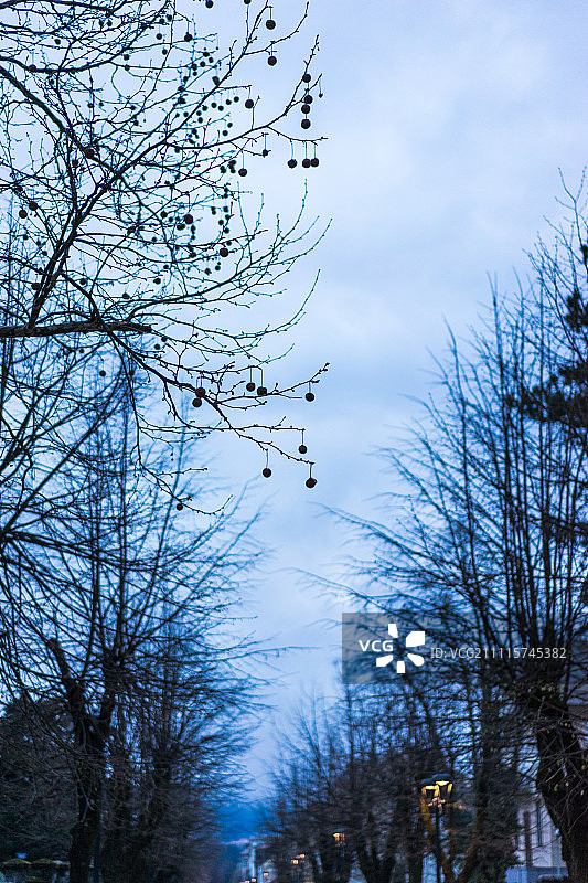 黑山采蒂涅的街景图片素材