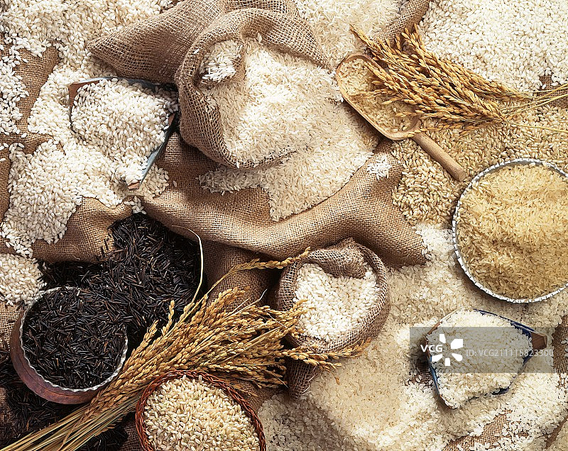 不同类型的大米和玉米穗（顶视图）图片素材