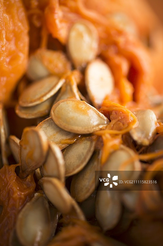 新鲜南瓜籽特写图片素材