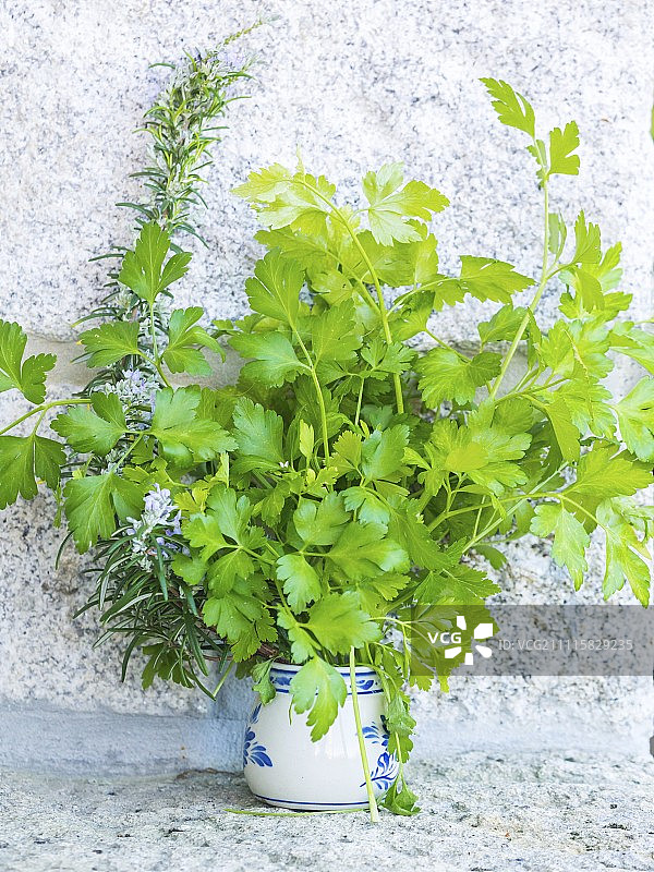 石墙前的陶瓷罐装新鲜香草图片素材