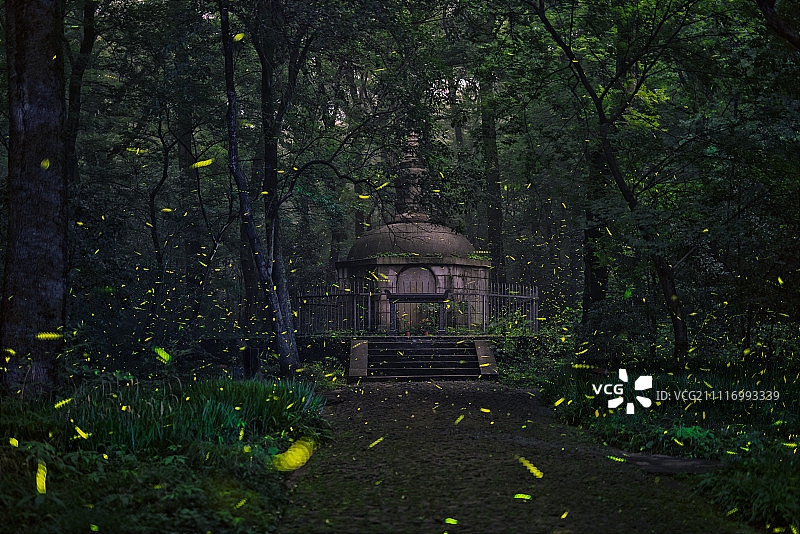 宝公塔萤火虫图片素材