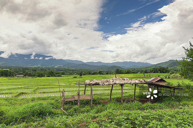 泰国北部田园风光高清图图片素材