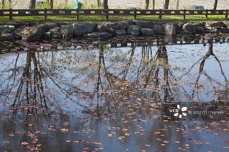 从镜桥看到的网走市呼人地区阿纳尻川樱花树倒影，日本北海道图片素材
