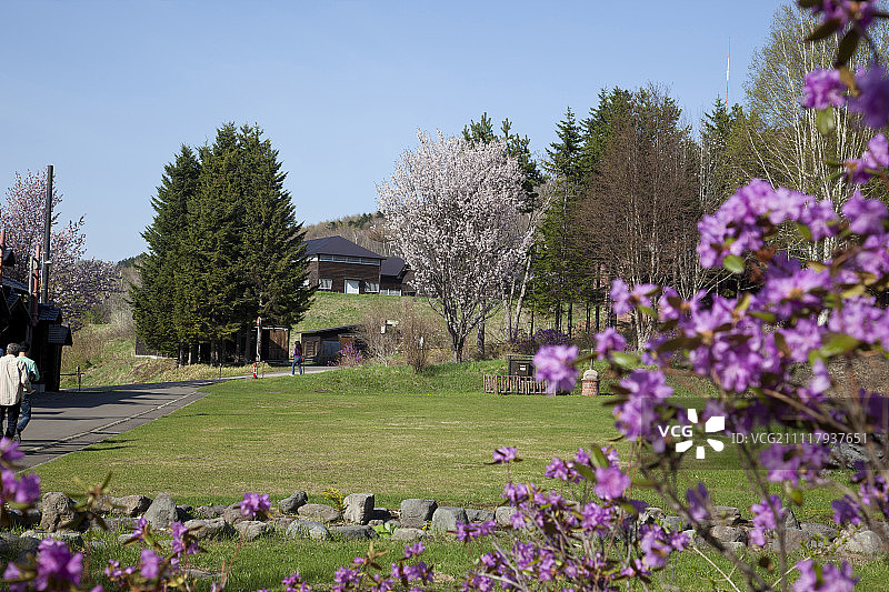 日本北海道网走市，网走监狱博物馆的开放区域图片素材