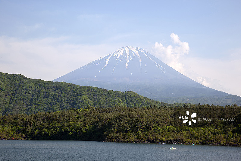 富士五湖之西湖：水深7.1米，背景为富士山，位于日本山梨县南都留郡富士河口湖町图片素材