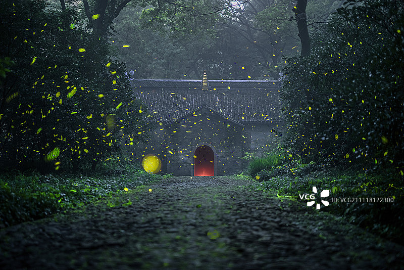 灵谷寺萤火虫图片素材