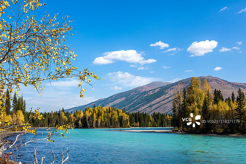 喀纳斯河图片素材