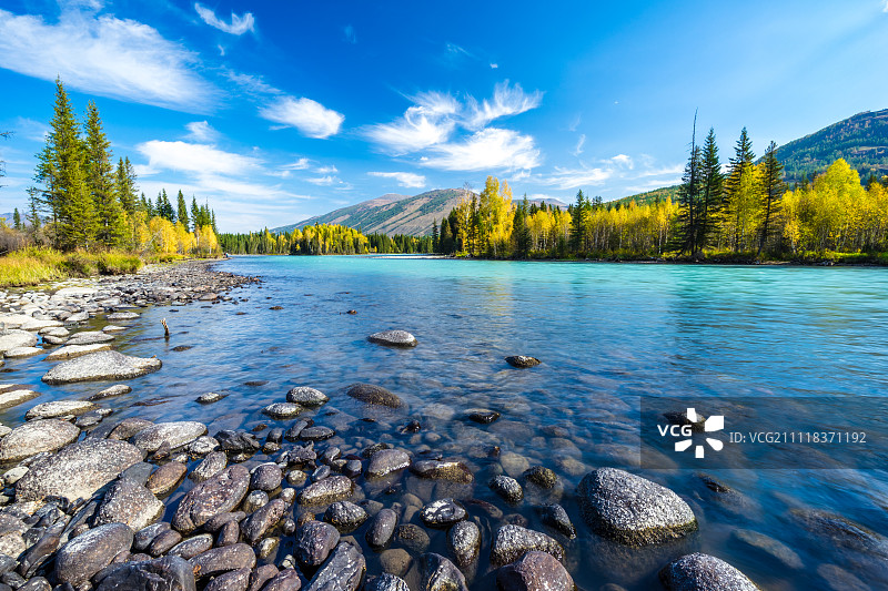 喀纳斯河图片素材