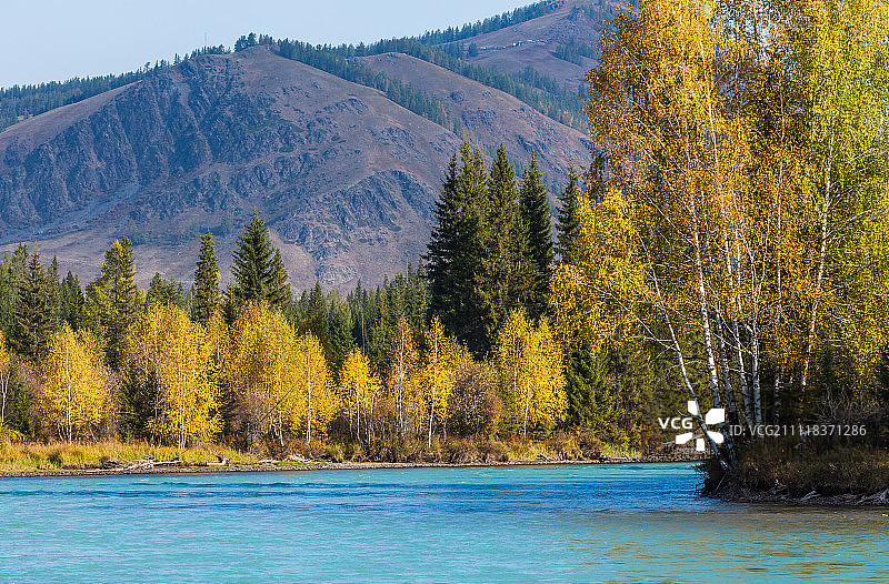 喀纳斯河图片素材