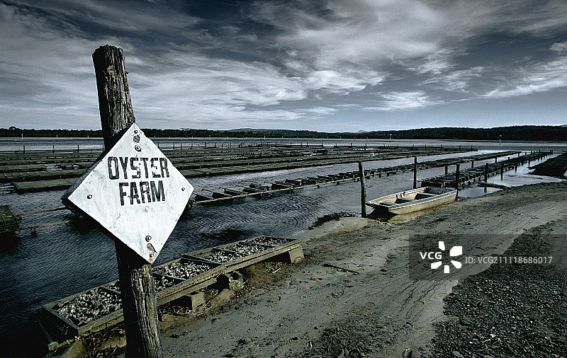 牡蛎养殖场标志图片素材