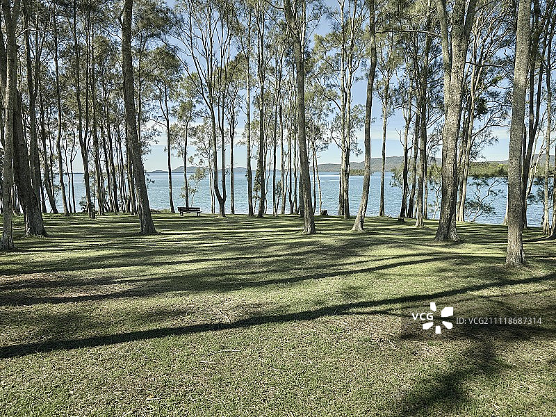 海岸公园图片素材