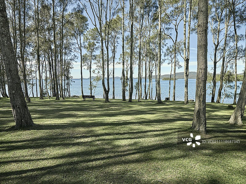 海岸公园图片素材