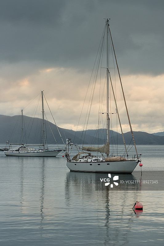 新西兰南岛皮克顿港口日出图片素材