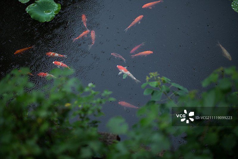 南浔古镇图片素材