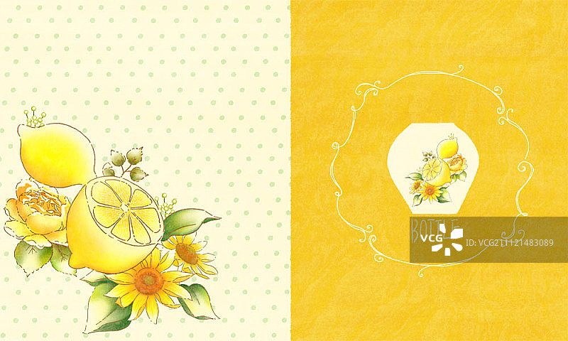 瓷器插图图片素材