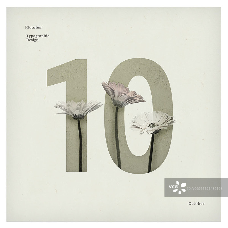 四季插画图片素材