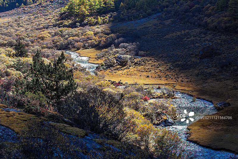 洛绒牛场图片素材