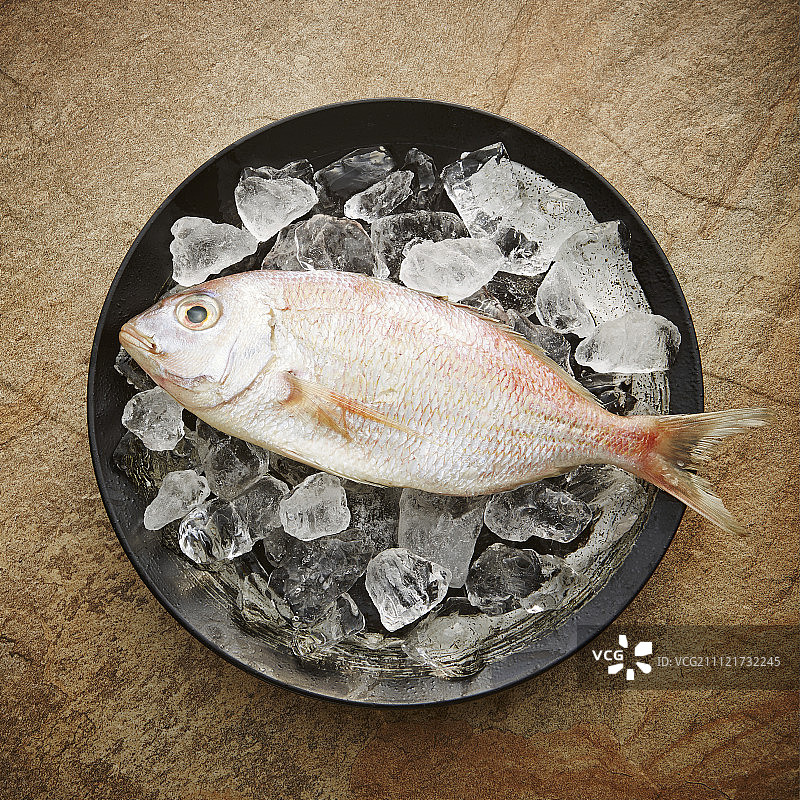 盘中的生方头鱼图片素材