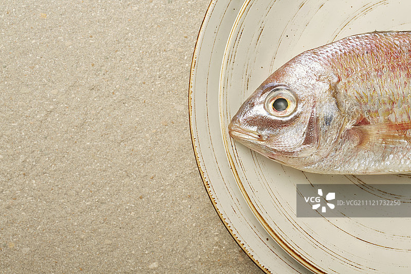 鱼头特写图片素材