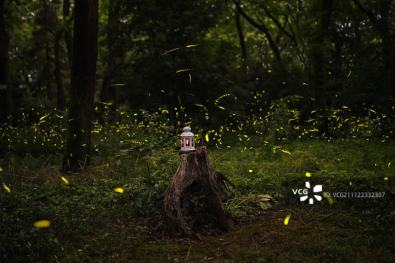 萤飞火舞图片素材