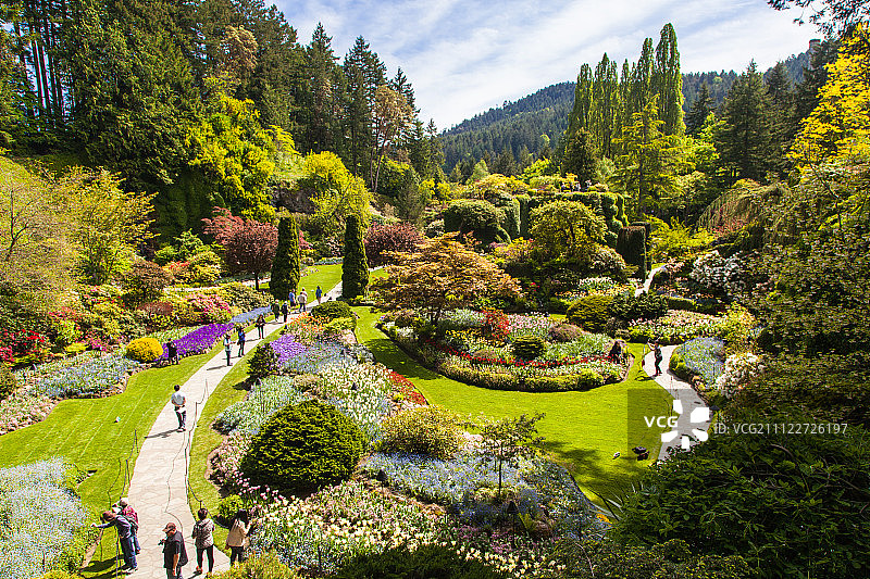 Flowers in a garden,Canada图片素材