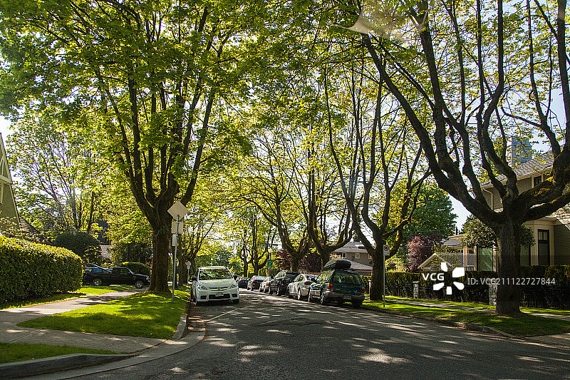 House with Pond in the yard图片素材