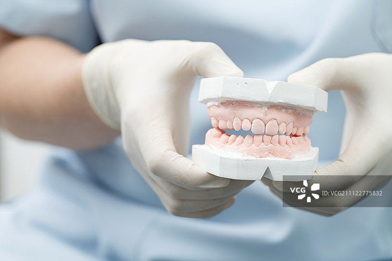 牙科模具图片素材