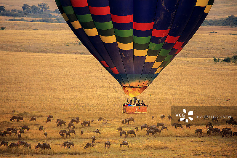 东非草原上空的热气球图片素材
