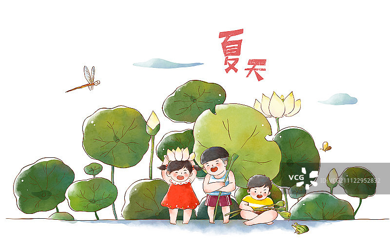 荷叶夏天图片素材