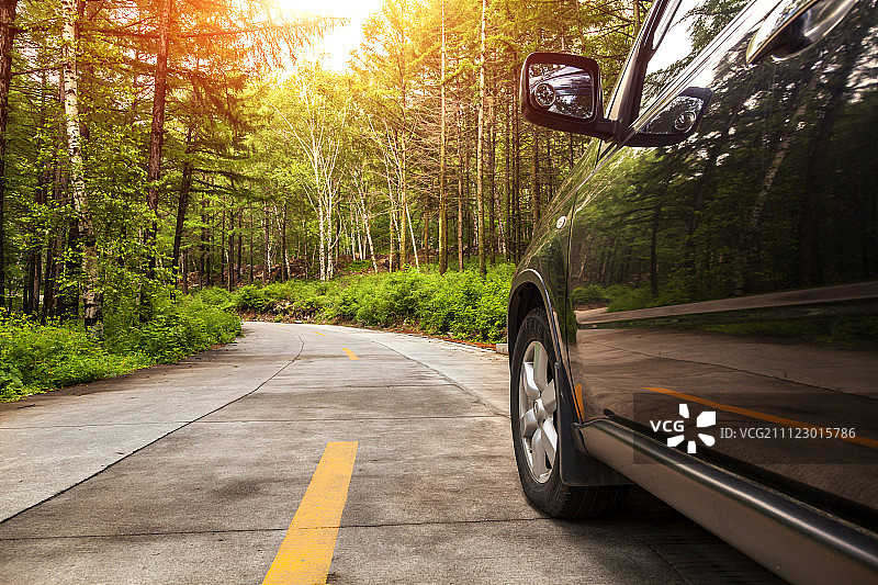 汽车在森林中穿行图片素材